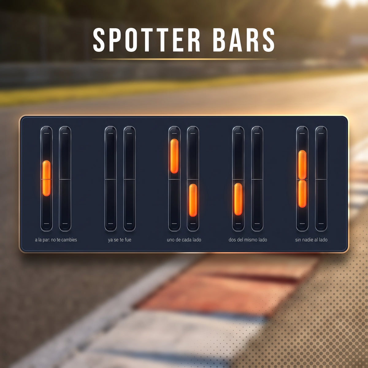 iRacing Overlay RaptoRacing GRATIS